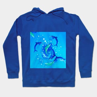 Dolphin encounter, touch without being touched Hoodie